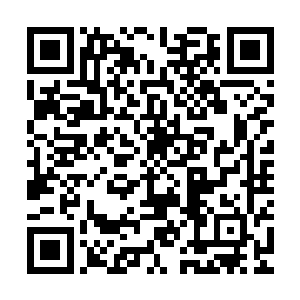 可以说除非愤怒的力量超过了那个斩三尸傀儡和十几个界主傀儡二维码生成