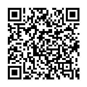 可以说霍凌霄已经随手在熊啸的心里种下了一颗二维码生成