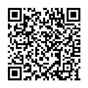 可以远距离射出毒刺的食人蜂完全没有招架之力二维码生成