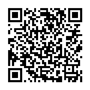 可以远远地看见几个西洋人押着沐红颜向前走去二维码生成