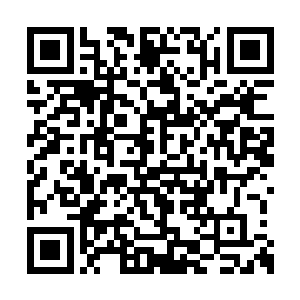 可以逐一用女帝大宗师层次的元神进行催眠洗脑二维码生成