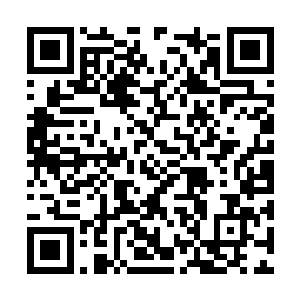 可以通过圣尊系统兑换一些强大的至阳生灵的精血二维码生成