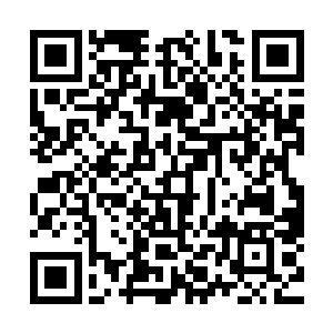 可以通过身体四周围的感知仪器来探测四周围可能出现的敌人二维码生成