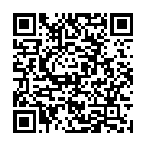 可以避免被九风攻击的羽毛有多珍贵自然不言而喻二维码生成