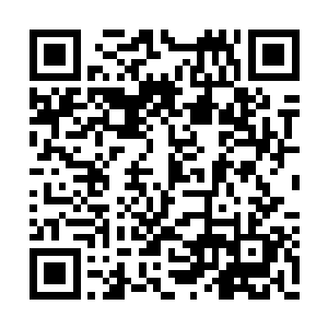 可以随时查看我们比斗场的实时资讯和押注情况二维码生成