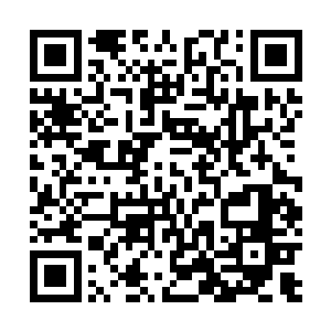 可以预见体内能够动用的神元在一瞬间会消耗的七七八八二维码生成
