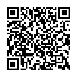 可众人依然会不顾一切地找韩非和青帮众人算账二维码生成