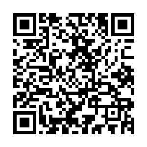 可作为一个道士能够得到如此权力……谁又能轻易的无视掉呢二维码生成