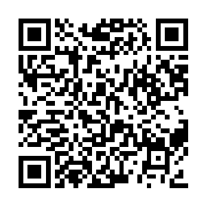 可你怎么就知道我们家硫亦人品武学不如他们呢二维码生成