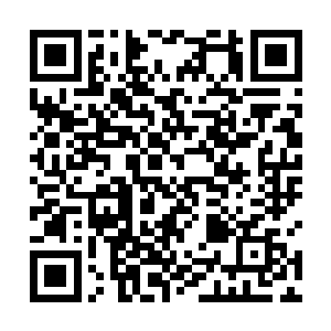 可你是不是真的打算做一辈子躲躲藏藏见不得人的反贼二维码生成