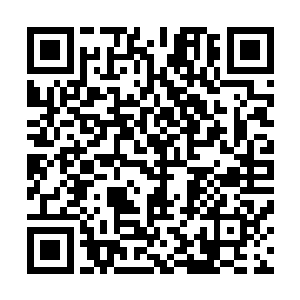 可你知道为什么整个太夏到现在却没有人跳出来反对吞党么二维码生成