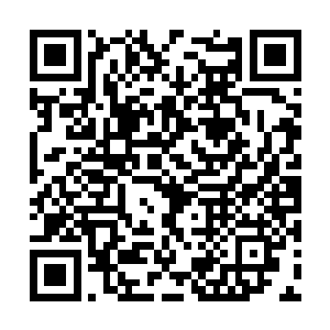 可保护陆严的侍从却把目光投向真正的主人陆天养二维码生成