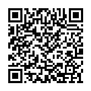 可信义阁把人送来却不肯说出是在哪抓的江一一二维码生成