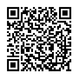 可修神期的威压毕竟不是她化神初期所能抵挡的二维码生成