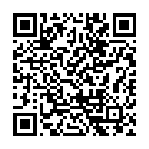 可偏偏却与凰姬这个身份高贵的人扯上说不清道不明的关系二维码生成