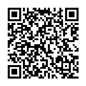 可偏偏是苏嬷嬷……苏大夫人拿苏嬷嬷是一点办法都没有了二维码生成