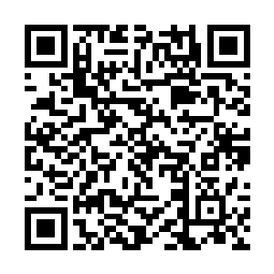 可偏偏眼前这只上古神兽天翼神虎不仅沒有丝毫抗拒二维码生成