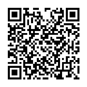 可偏偏这两父子花费了这么多口舌来贬低抹黑林烽二维码生成