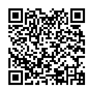 可兰伽序重新出山的消息却不知道怎么传扬了出去二维码生成