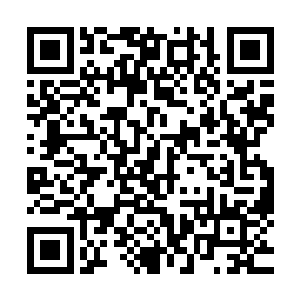 可其中蕴含着一股股令聂云体内无名法诀颤抖不已的特殊能量二维码生成