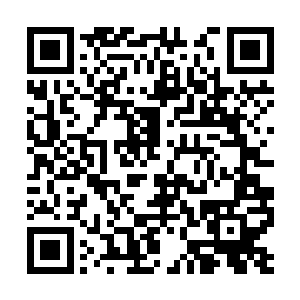 可其能量的浓郁度撑死也就让三四劫真神修为大增二维码生成