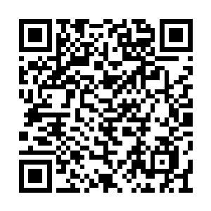 可内门弟子只是表现出有晋升大圣域的潜力而已二维码生成