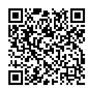 可凡是被河美菱看上的男子无不将自己的脸给划花二维码生成