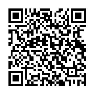 可凭自身的感觉也能知道他们的修为与自己不相上下二维码生成