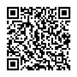 可刚刚一见面臣明明就听到娘娘深情的唤我美人二维码生成