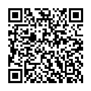 可刚好最擅长这方面的莫小姐跟姑爷你一起回了老家二维码生成