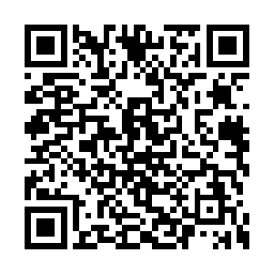 可刚才那一下确实让他们见识到什么才是高手了二维码生成