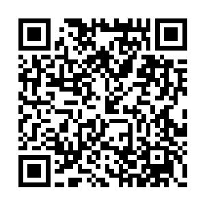 可到底还是很不对起这个二十年没见的妹妹……二维码生成