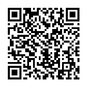 可十分奇怪的却是这些石精竟然一点点的朝建木里面渗去二维码生成