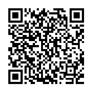 可却最讨厌被人碰触的崇高大祭司竟然握着一个中级神侍的手腕二维码生成