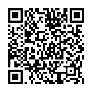 可却有一股蓬勃旺盛的生命活力从地底生出钻出二维码生成