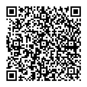 可却没有这个魄力主动开启大械斗……没想到今年七年级的那帮特级班学生却帮他做出了这个决定二维码生成