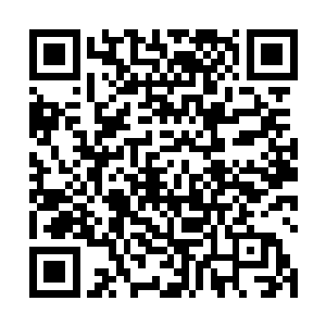 可却站在一旁对着两个明显已经失血过多的人束手无策二维码生成