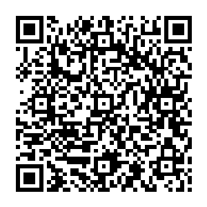 可又疑惑假如真的是刚孵化的两只雏鸟凤凰为何一出生就能如此这般熟悉这里的地形二维码生成