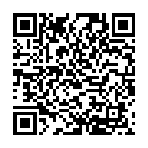 可古洞大师在风中鹤的面前仿佛永远都是一个小弟一样二维码生成