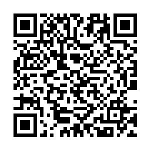 可只要一想到他当年与我讨教学问时的那张年轻脸孔二维码生成