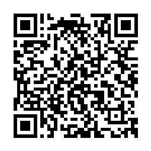 可只要人鱼王将雷鲨王三个王者归顺的消息发出二维码生成