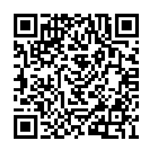 可否先容我们登陆此岛查看一番具体的情形如何二维码生成