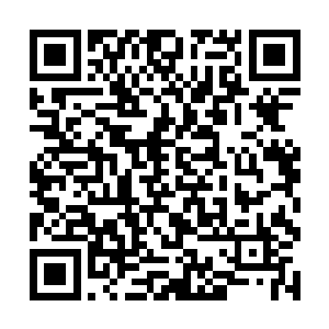 可和南宫镇这等强者之间的实力差异仍是有天壤之别二维码生成