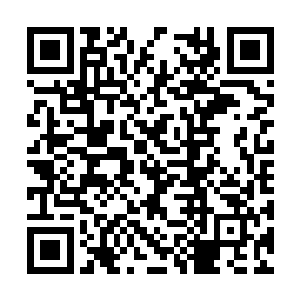 可因为当年堂姑出嫁的时候同家中闹的实在不愉快二维码生成