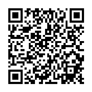 可因为当时天道仙域是天之境保留原始生态最多的星域二维码生成