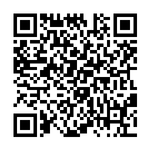 可在他刚发现阿库里部落可能被人给屠杀殆尽的时候二维码生成