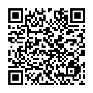 可在场的仙家弟子们大多数都流露出理所当然之色二维码生成
