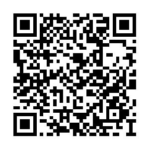 可在灵犀返照大衍神术配合着法阵权限的渗透下二维码生成