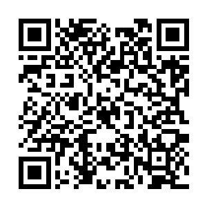 可堂堂圣域高手的自爆岂是那么轻易就能够镇压的二维码生成