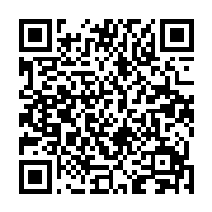 可夏天居然真的坐在那里轻描淡写的就应对了贪狼的攻击二维码生成